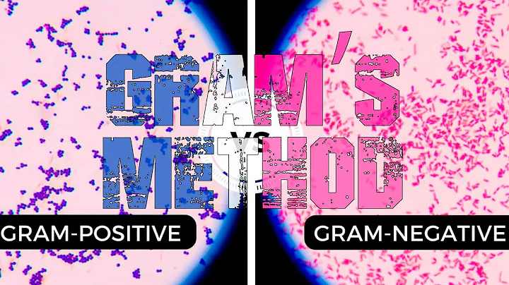 Gram Staining: Principle, Procedure and Interpretation