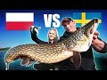 PIKE FISHING CHALLENGE: The Battle of the Szczupak - ft. Fishing With Ace 🇵🇱🇸🇪