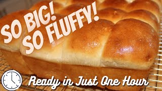 The Best Fluffy DINNER ROLLS Recipe | Soft And Buttery  #food 