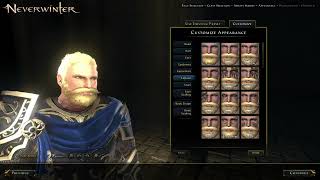 Neverwinter character creation and customisation - paladin.