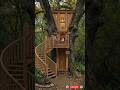 I Built a Luxury Home Inside a Giant Tree 🌳#Treehouse #LuxuryTreehouse #DreamHouse