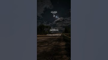 إنما ذلكم الشيطان يخوف أولياءه |القارئ عمران مراد