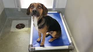 ACS A685977