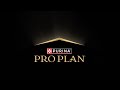 Feed Your Dog Like A National Dog Show Champion With Purina Pro Plan Feed Your Dog Like A National Dog Show Champion With Purina Pro Plan