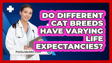Do Different Cat Breeds Have Varying Life Expectancies? - PetGuide360.com