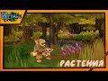 Hytale - Генерация растений | Новости Hytale