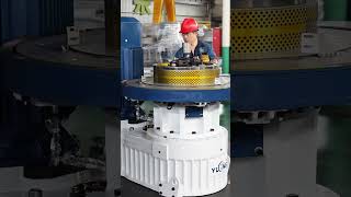 Pellet Machine 160Kw 2-2.5TPH | YULONG Pellet Machine | BISON Pellet MACHINE