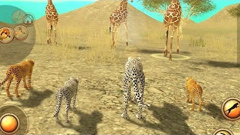 Best Animal Games - Wild Cheetah Sim 3D Android Gameplay