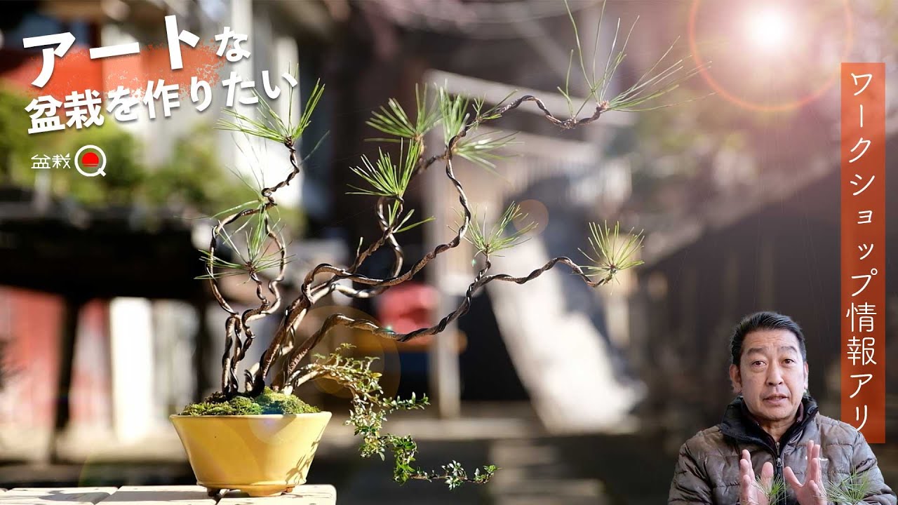 I want to break down stereotypes and create artistic bonsai