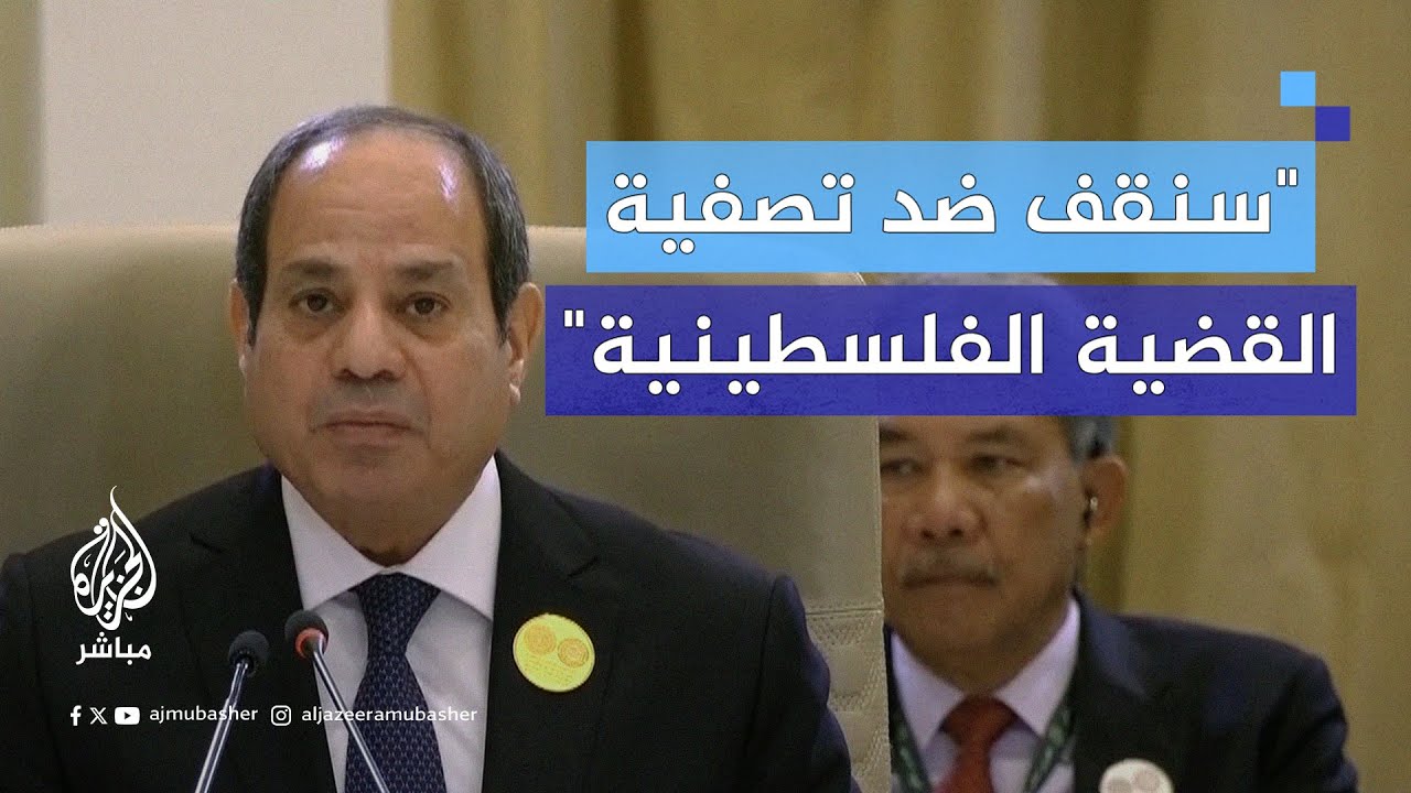 السيسي: أُعلنها صراحة أننا سنقف ضد جميع المخططات التي تستهدف تصفية القضية الفلسطينية