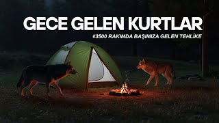 Çadiri Gece Kurtlar Basti Korku Dolu Kamp