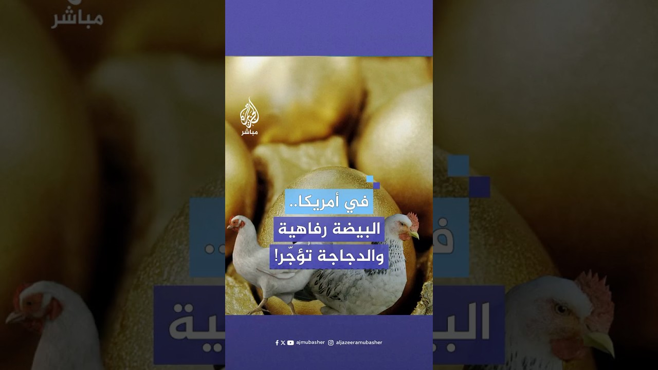 بيض يتحول إلى “عملة نادرة” في أمريكا يشترونه بـ”الحبة” بدلا من العلبة.. ماذا حدث؟