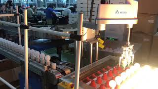 Scara Robot Automatic line for lighting industry 4