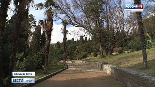 ВестиКрым.рф// В Крыму могут полностью исчезнуть пальмы ВестиКрым.рф// В Крыму могут полностью исчезнуть пальмы