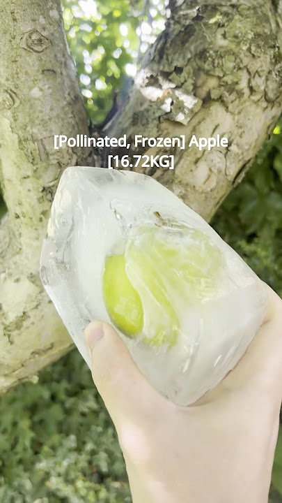 Grow A Garden IRL 🍏 #growagarden #roblox