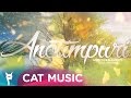 Addictive Elements feat. Shyana - Anotimpuri (Lyric video)