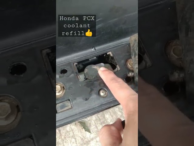 Honda PCX coolant refill. class=