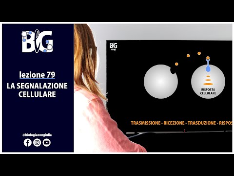 Video: Quale modalità di trasmissione viene utilizzata dai telefoni cellulari?