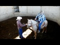 JOSE JIMENEZ CHARRO PALOMINO # 2