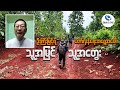 “ဦးကြီးမြင့်ရဲ့တော်လှန်ရေး အရွေ့အပေါ် သူ့အမြင်သူ့အတွေး”