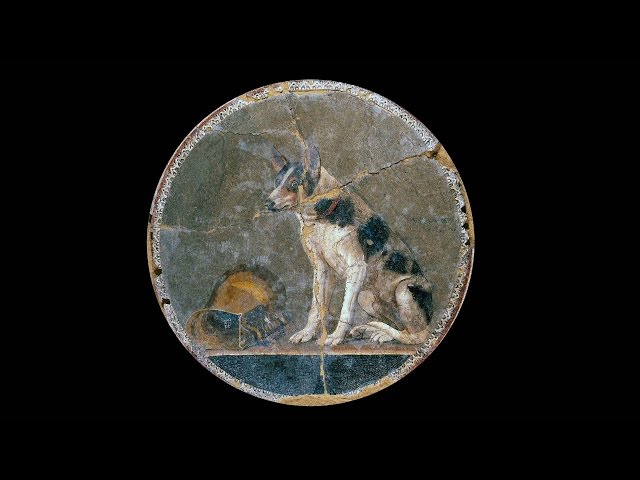 Broche Pomponne Micro-Mosaïque Chien - Plaqué Or - Pâte De Verre - Occasion Bon État