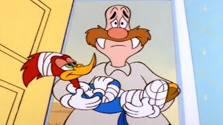 Wally Takes Care Of Woody 1 Hour Of Woody Woodpecker Full Episodes