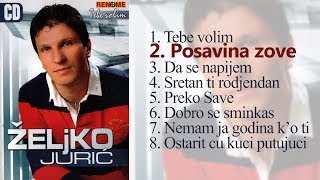 Zeljko Juric  Posavina zove (Audio 2009)