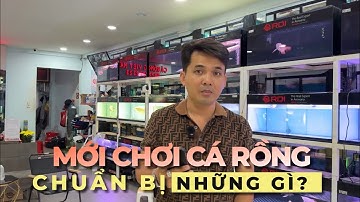 Lời khuyên cho anh em tập chơi C.Á RỒNG, nên chuẩn bị những gì, nên chơi loại cá gì phù hợp ?