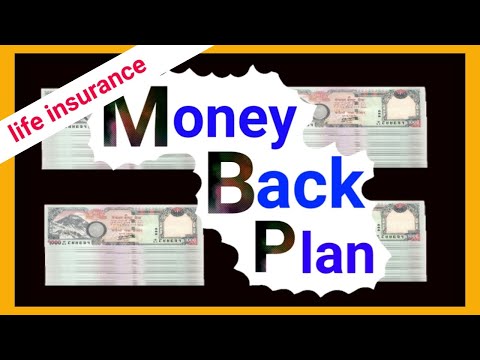 Money Back Plan #Lic of Money Back#Money in Lic#Money back in life insurance#