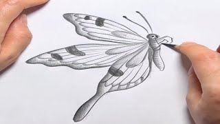 How to draw a beautiful butterfly