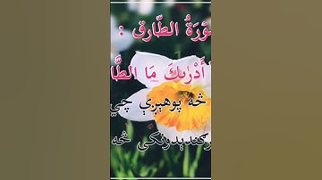 #مسلم_غږ_muslim_voice #سورة طاريق