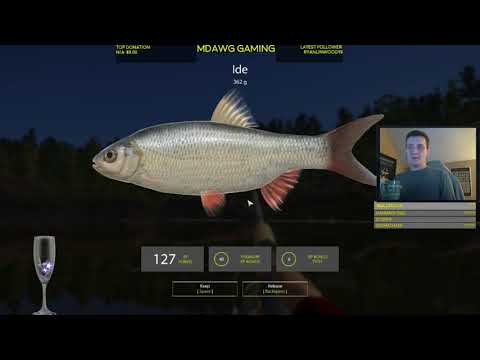 Video: Fishing Secrets: Spoon For Asp