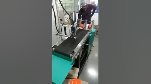 Stacker conveyor system (9836989058)