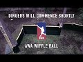 Pilots vs. Enforcers | AWA Wiffle Ball 2022