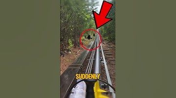Woman Trapped on Mountain Coaster as Black Bears Appear Nearby!
