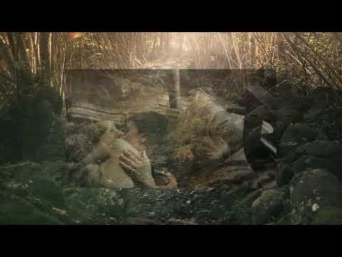 Hands of gold - acoustic cover [female]