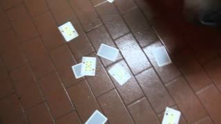broken.face.mp4