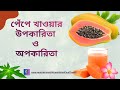 পেঁপে খেলে শরীরে যা ঘটে 🍃 | Papaya Benefits &amp; Side Effects | Health Tips | Health &amp; Care Tips BD