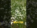 2024년 5월 27일