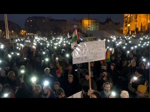 Hungarians march in support of Central European University