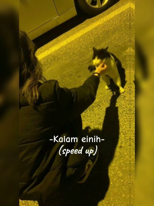 Kalam eineh (speed up) ||by sherine|| #shorts #kalameineh #speedup #music #rek #blackpink