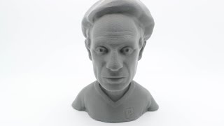 Duplicator i3 PLUS Printing Pablo Picasso Bust - Wanhao USA