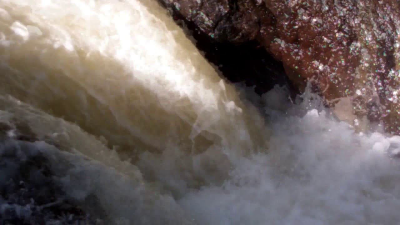Salmon Leaping Rivers Highland Perthshire Scotland