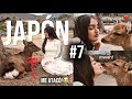 Explorando Nara🇯🇵 y sobreviviendo a los ciervos😃