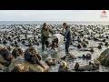 This Is Why THE U.S. RELEASED OTTERS INTO THE DEAD SEA