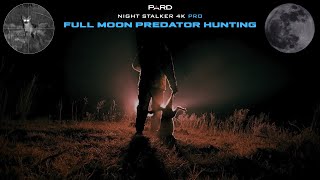 Full Moon Predator Hunting Insane Scope Footage Pard Night Stalker 4K Pro
