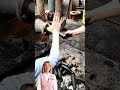 Industrial charcoal briquettes making extruding machine #fcnfm #charcoalextruder
