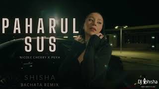 Nicole Cherry x Puya - Paharul Sus (Shisha Bachata Remix)