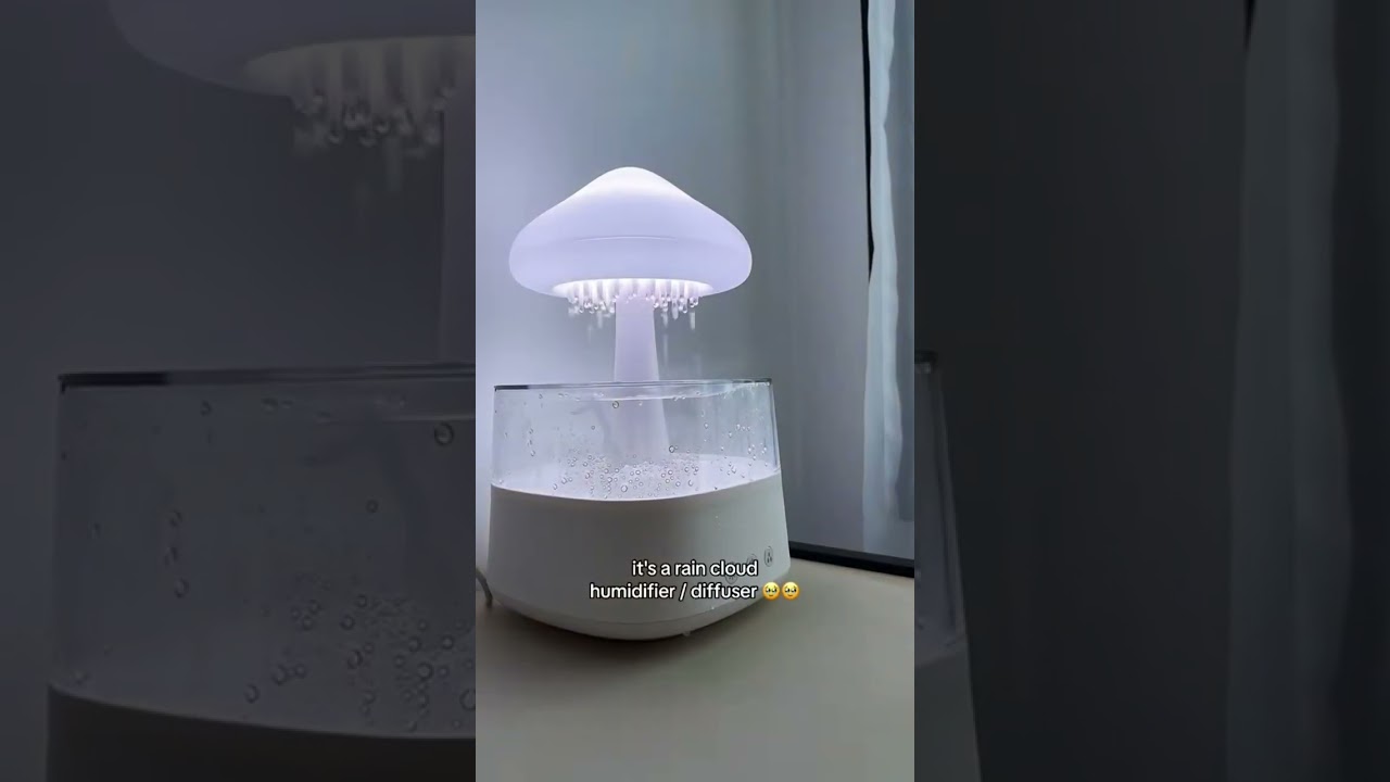 Rain Cloud Humidifier-3-in-1 Humidifier,Oil Diffuser Light