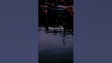 القارئ _ محمد اللحيدان #قرآن #المصحف #إستمع #اكسبلور #لايك